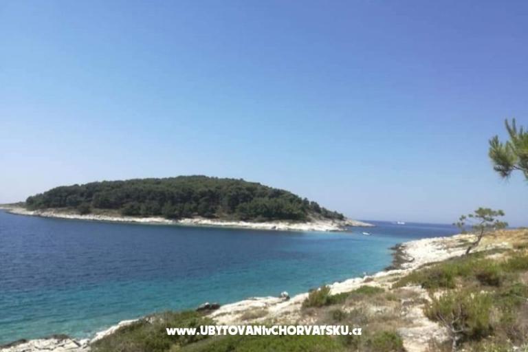 Apartmaji Anna – foto 17