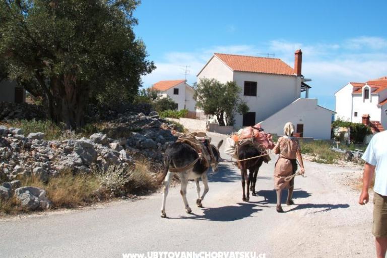 Apartmaji Bačić – foto 17