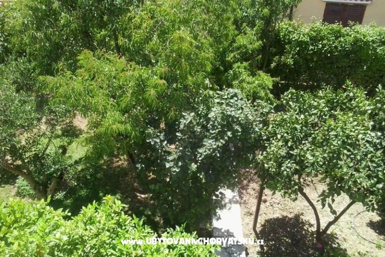 Apartmaji Baković – foto 10