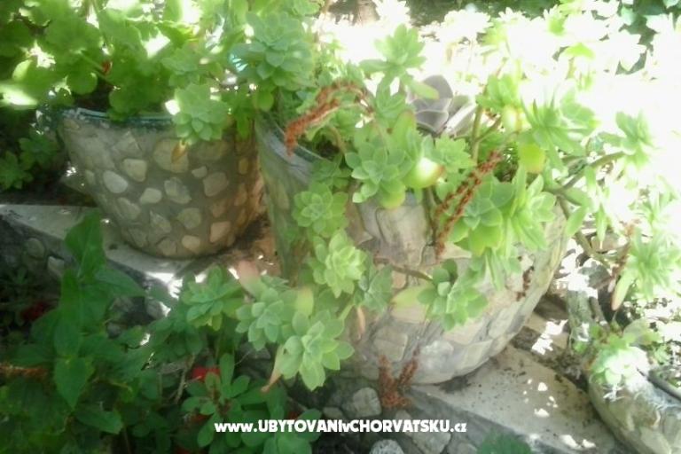Apartmaji Baković – foto 6