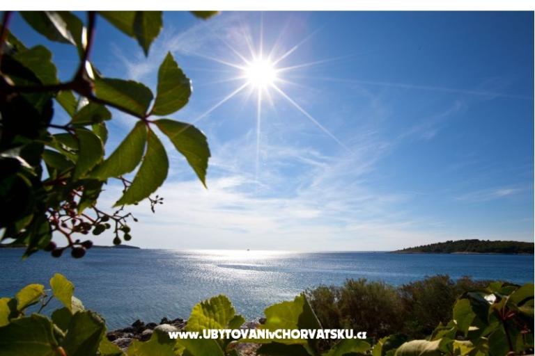 Apartmaji Holiday – foto 8