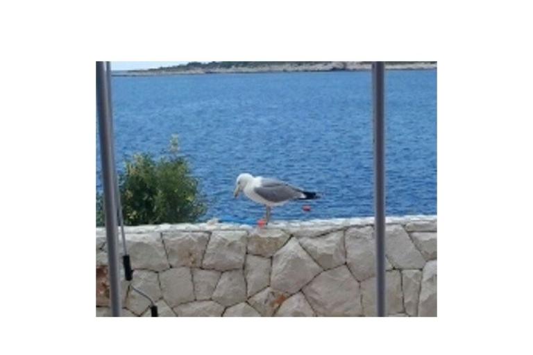 Apartmaji Nika – foto 18