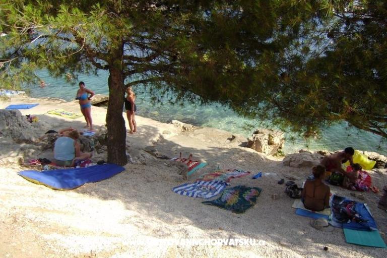 Apartmaji Leon – foto 12