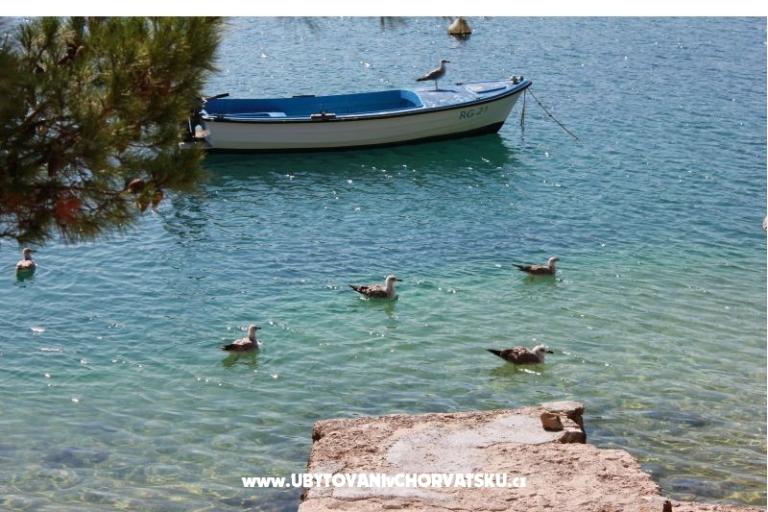 Apartmaji Leon – foto 15