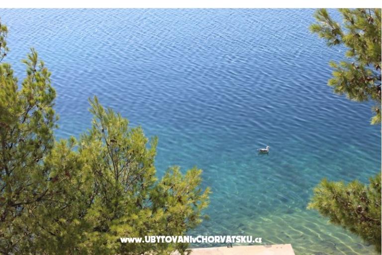 Apartmaji Leon – foto 9