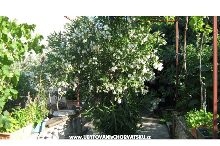 Apartmaji Miki – foto 8
