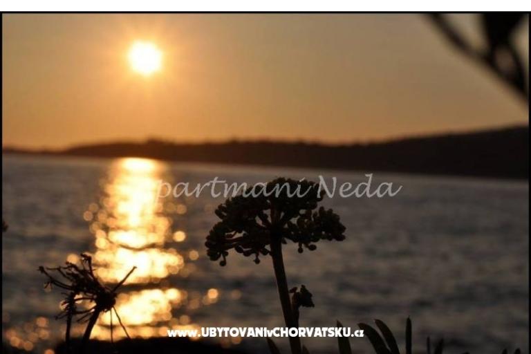 Apartmaji Neda,Kanica – foto 11