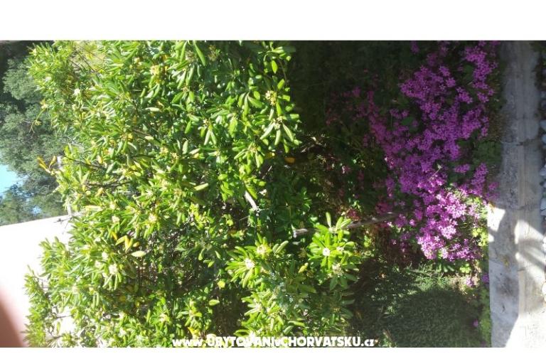 Apartmaji Perak – foto 10