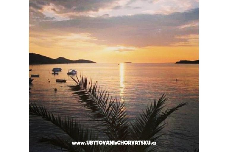 Apartmaji Ruža – foto 13