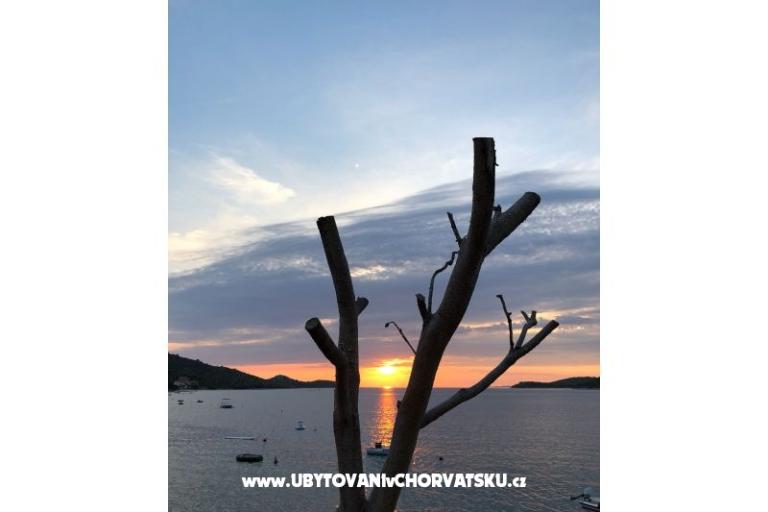 Apartmaji Ruža – foto 20