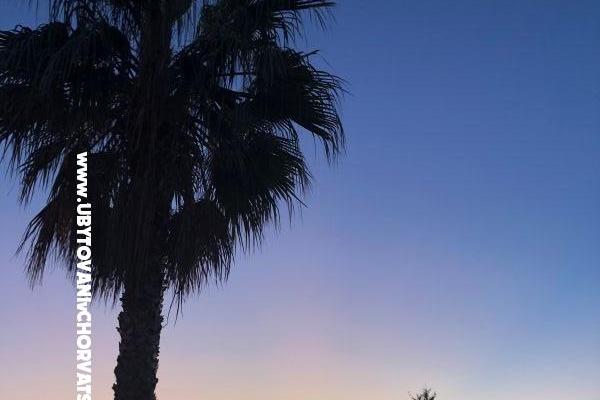 Apartmaji Ruža – foto 21