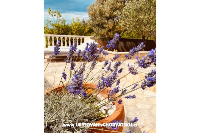 Apartmaji Sunset – foto 4