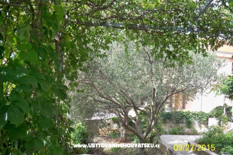 Apartma VITO Stara Draga – foto 16