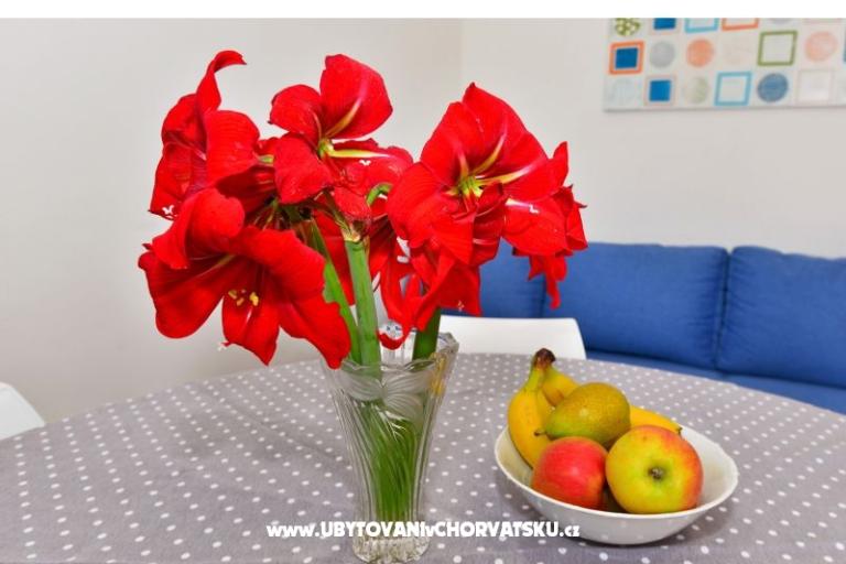 Apartmaji Tereza – foto 9