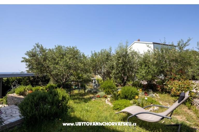Apartmaji Vido i Nada – foto 5