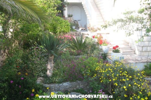 Villa Jozo Apartmaji – foto 5