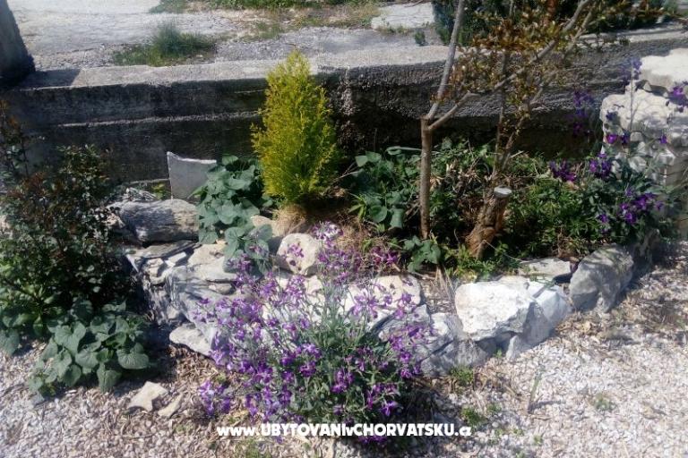 Apartmaji Ercegovic – foto 4