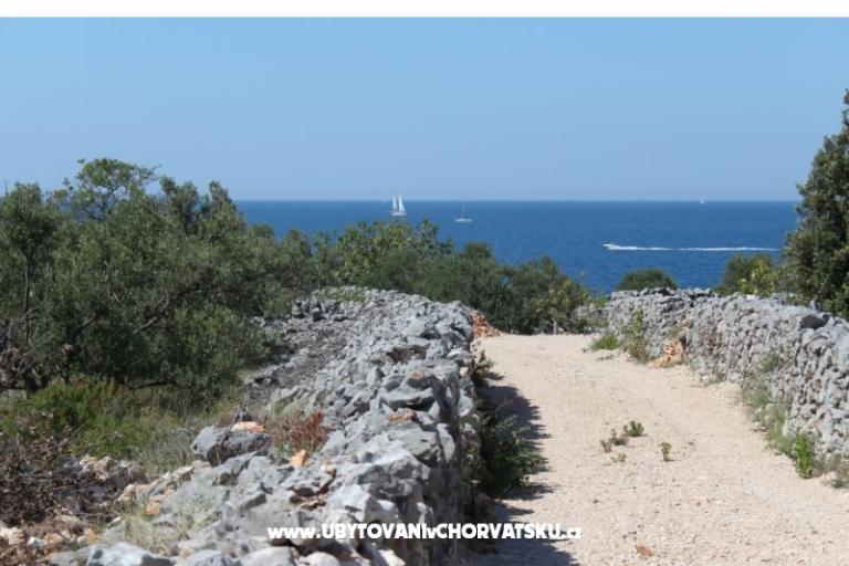 Apartmaji Blazevic – foto 16