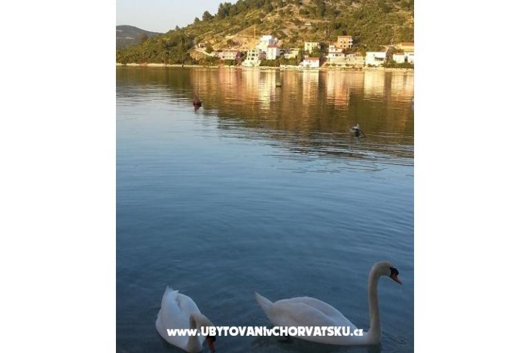 Apartmaji Captain`s house – foto 18