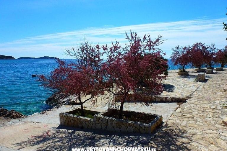 Apartmaji Jurjević – foto 4