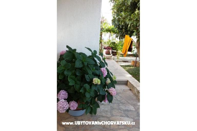 Apartmaji Ursula – foto 14
