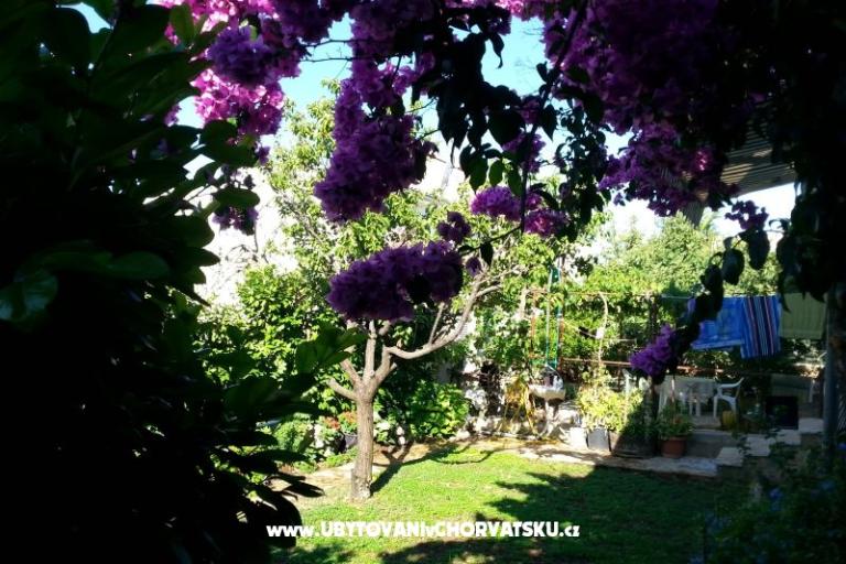 Apartmaji Ursula – foto 6