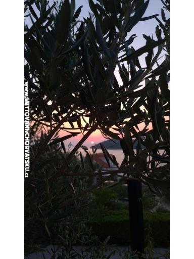 Holiday Apartmaji Lucic – foto 105