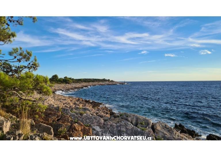 Holiday Apartmaji Lucic – foto 92