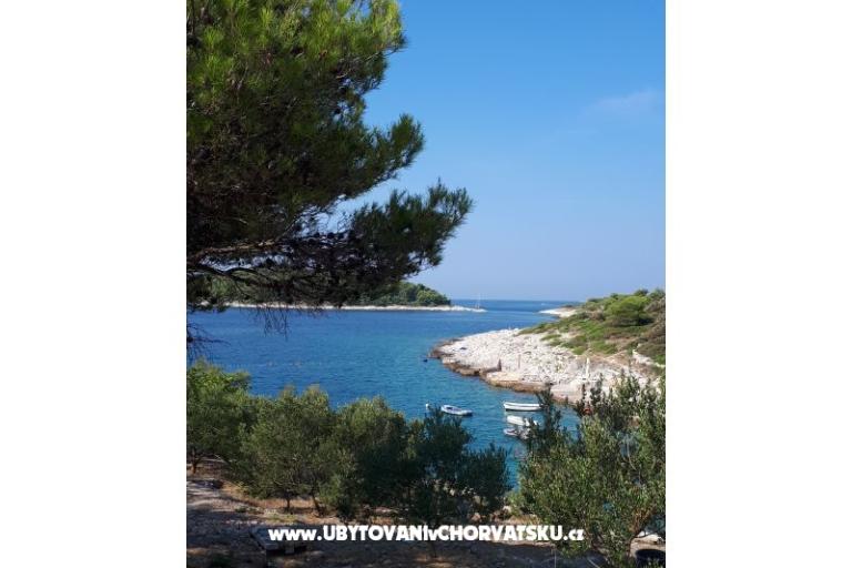 Hiša Zvonimir – foto 6