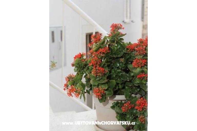 Hiša Anita – foto 17