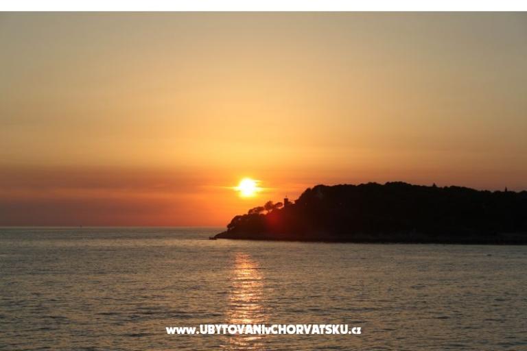 Počitniški dom Stari mlin – foto 17