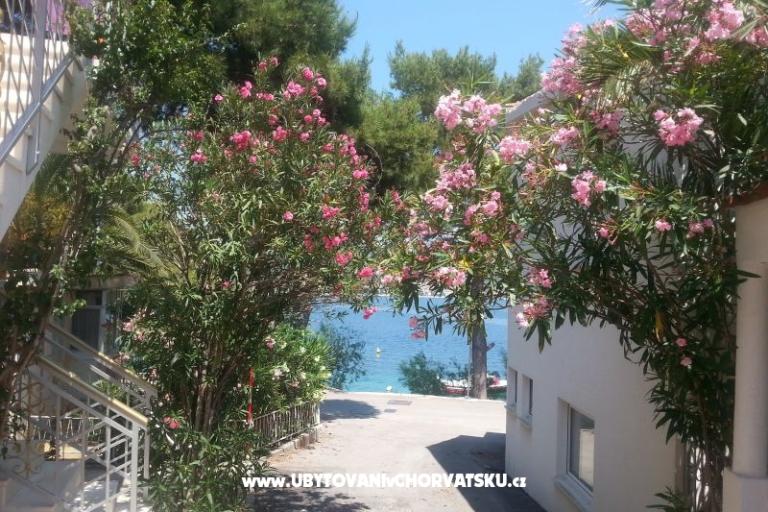Počitniški dom Milenka – foto 4