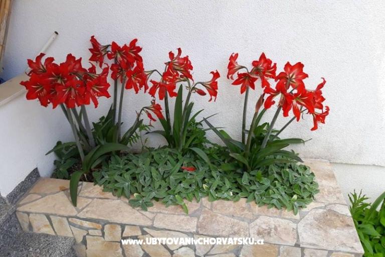 Apartmaji Mira Mark Ražanj Rogoznic – foto 13