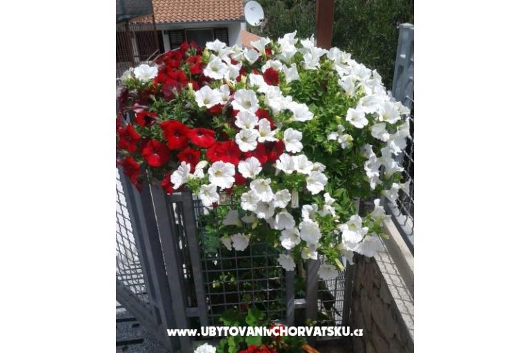 Apartmaji Mira Mark Ražanj Rogoznic – foto 7