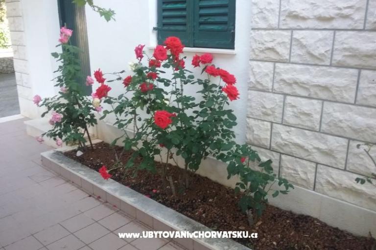 Santa Chiara Apartmaji – foto 12