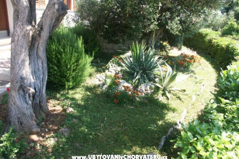 Santa Chiara Apartmaji – foto 5
