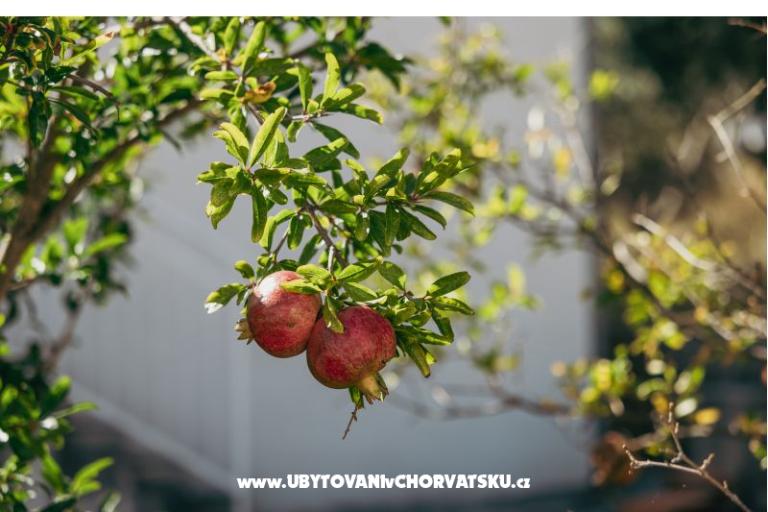 Apartmaji Vidović – foto 4