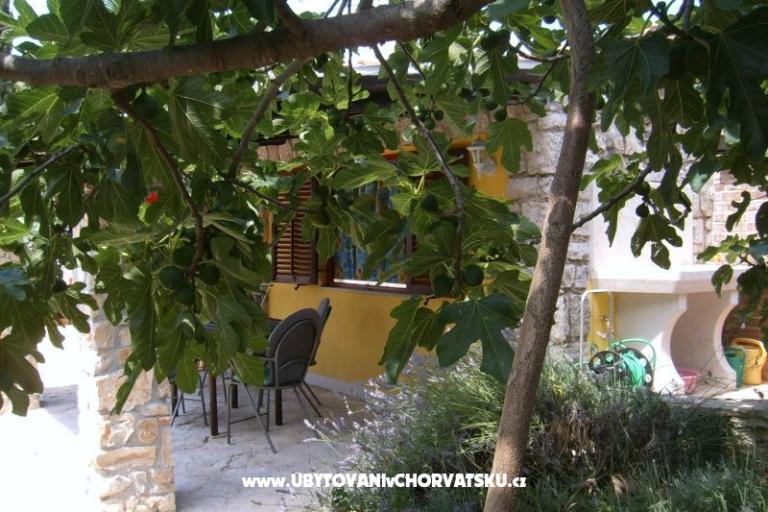 Apartmaji Morena – foto 6
