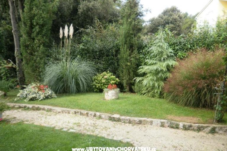 Apartmaji Ana – foto 14