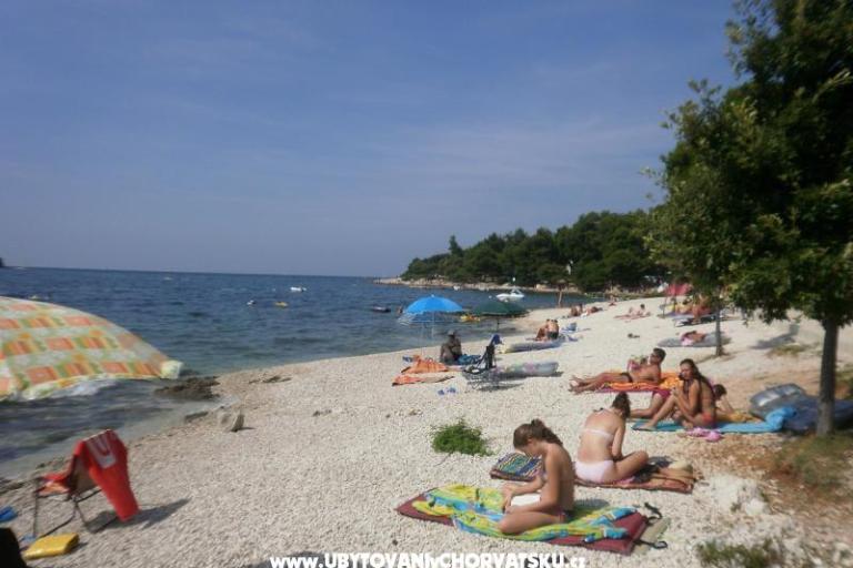 Apartmaji Ana – foto 16