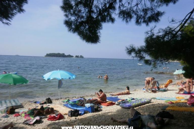 Apartmaji Ana – foto 17