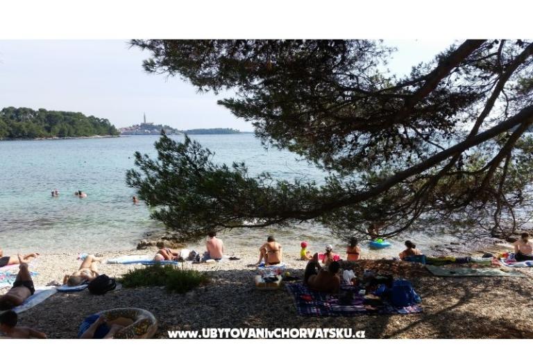 Apartmaji Ana – foto 18