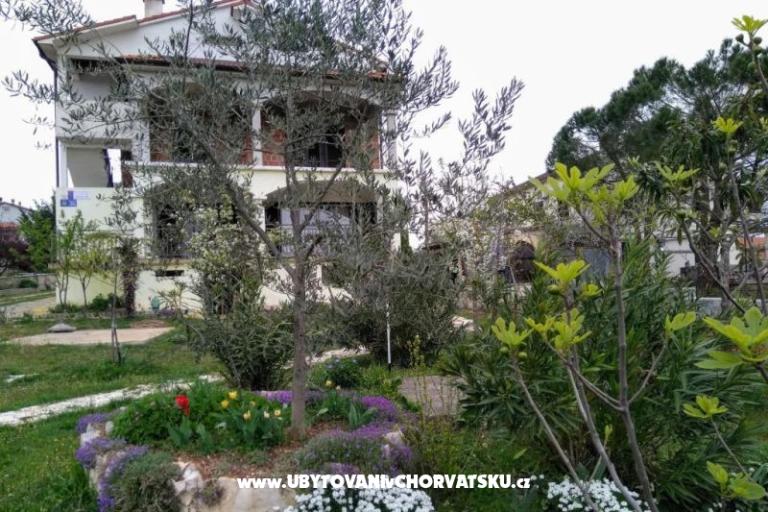 Apartmaji i Sobe Markovic – foto 6