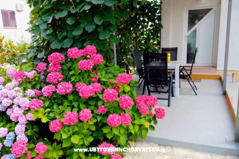 Apartmaji i Sobe Markovic – foto 9