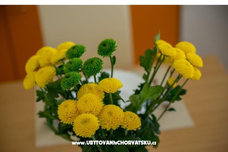 Apartmaji Nada – foto 15