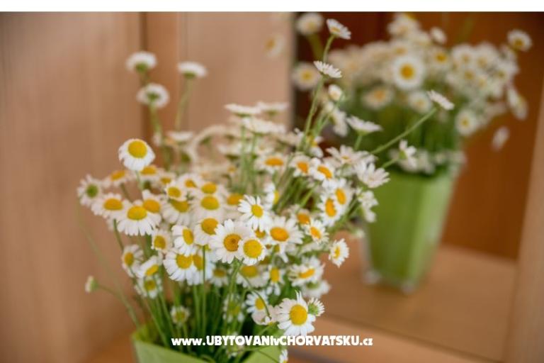 Apartmaji Nada – foto 17