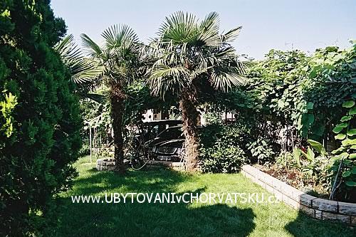 Apartmaji BOS-KO – foto 3