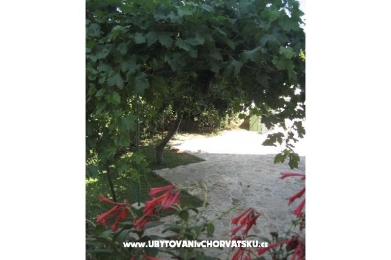 Apartmaji Ida & Sandra – foto 5