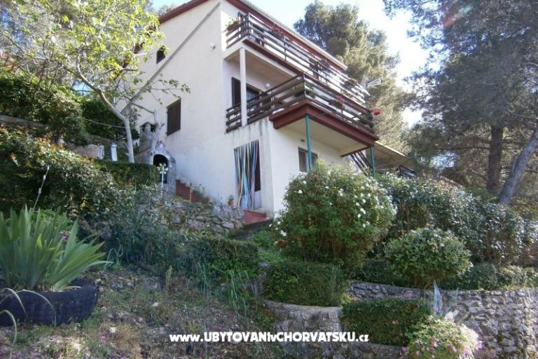 Apartma Buturić – foto 17