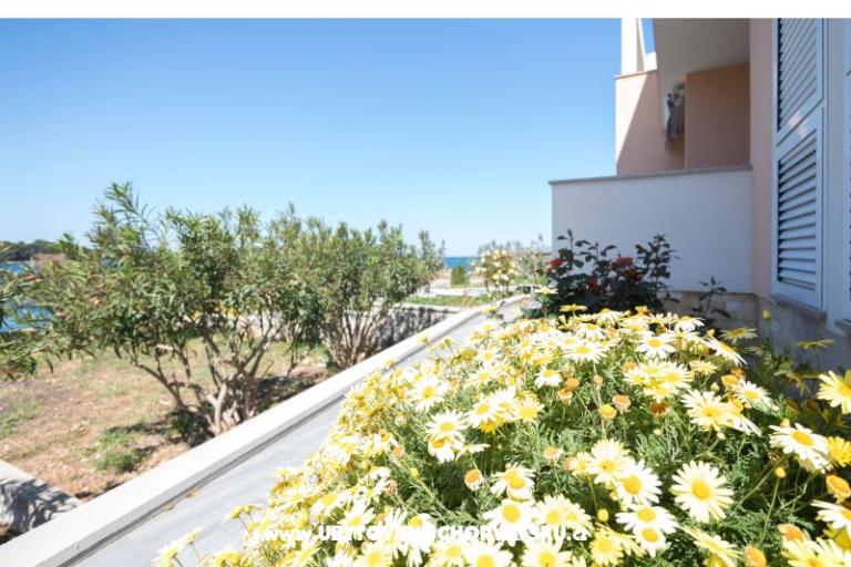 Apartmaji Carić – foto 6